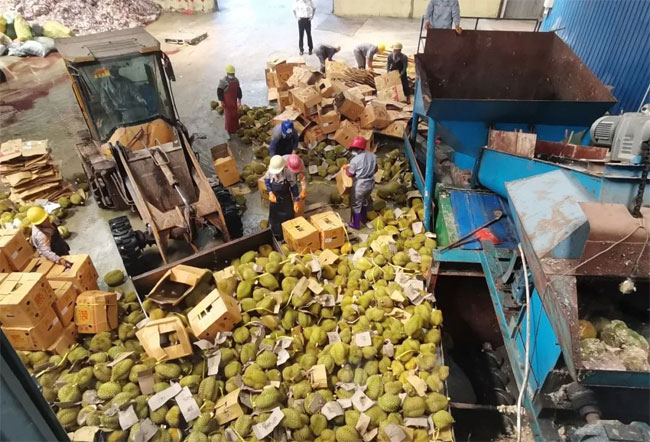 罚没食品销毁公司
